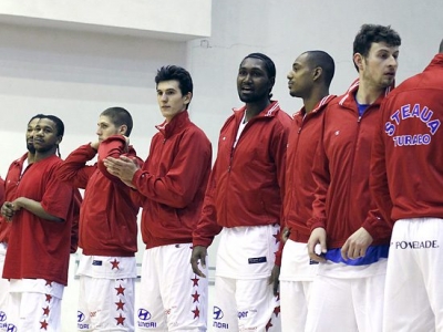 Domestic leagues overview